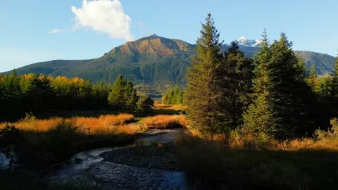 Mountain stream with trees and mountains Stock Footage 294709632