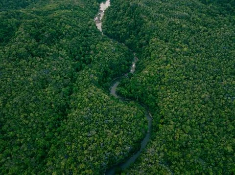 Mountain Stream in Tropical Forest at Sunset Stock Photos