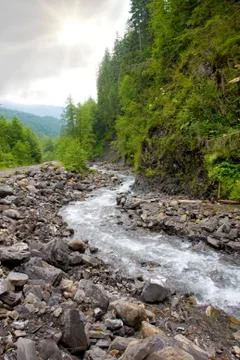 Mountain stream in valley Stock Photos