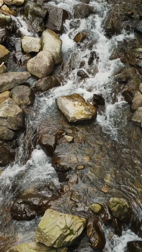 Mountain stream, view from the top. Creek or small and quick mountain river with Stock-Footage 315089909
