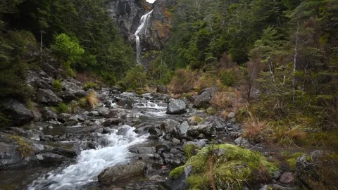 Mountain stream with the Waitonga Falls, New Zealand. Video stock 255688615