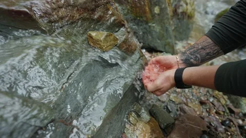 Mountain Stream Water Collection Stock Footage 280047872