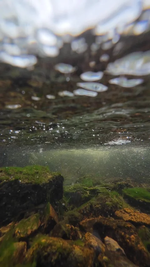 Mountain Stream Water Flow in Forest Nature Vertical Video Stock Footage 335371286