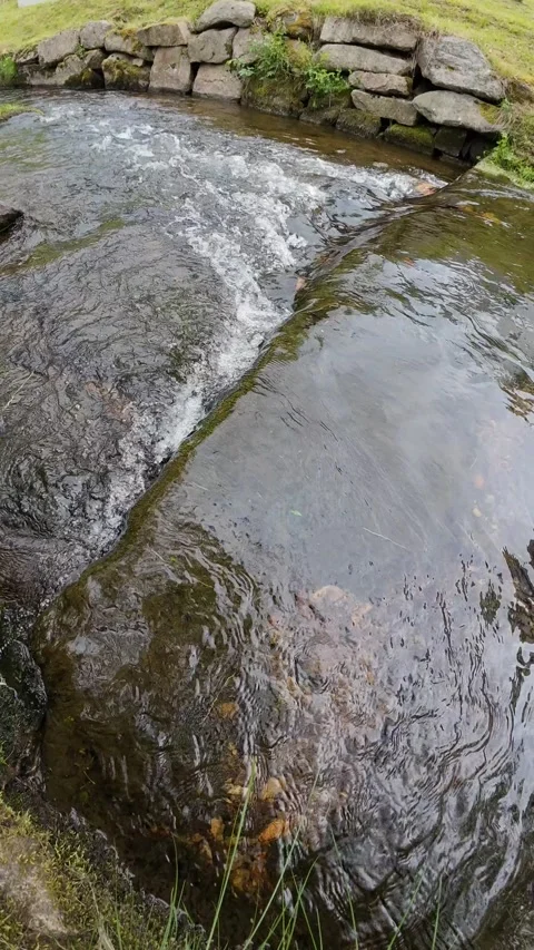 Mountain Stream Water Flow in Forest Nature Vertical Video Stock Footage 335371330