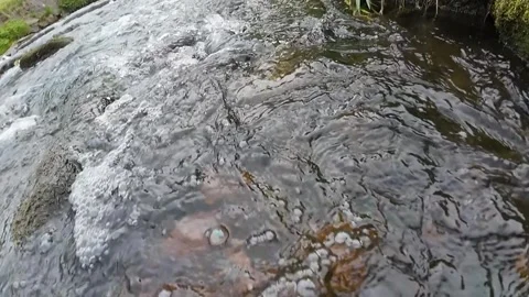 Mountain Stream Water Flow in Forest Nature Vertical Video Stock Footage 335373360