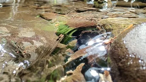 Mountain Stream Water Flowing Across Rocky Riverbed Stock Footage 329767209