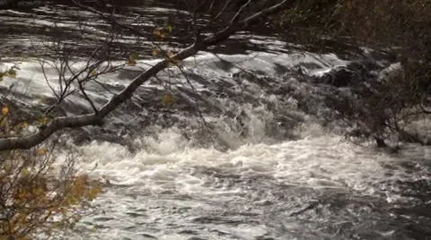 Mountain stream - water flowing after rainfall Stock Footage 44334943