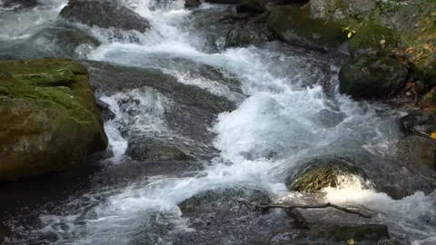 Mountain stream. water flowing between the stones Stock Footage 167799633