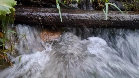 Mountain stream water flows fast over a log in the wild forest landscape du.. 스톡 동영상 337344558
