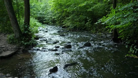 Mountain stream water, swift stream river Stock-Footage 162965638