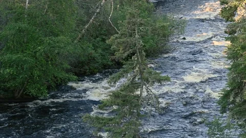 Mountain stream of water tumbling over rocks  Stock Footage 136844408