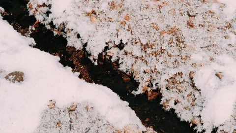 Mountain stream of water in winter. Ice and snow on the water, mountain stream,  Stock Footage 122556349
