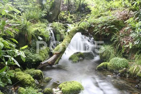 Mountain stream waterfall 1 Stock Photos