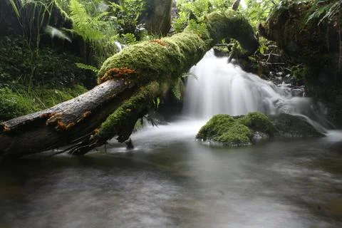 Mountain stream waterfall 2 Фото