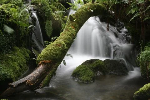 Mountain stream waterfall 3 Фото