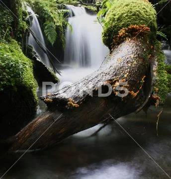 Mountain stream waterfall 4 Stock Photos