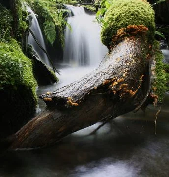 Mountain stream waterfall 4 Фото