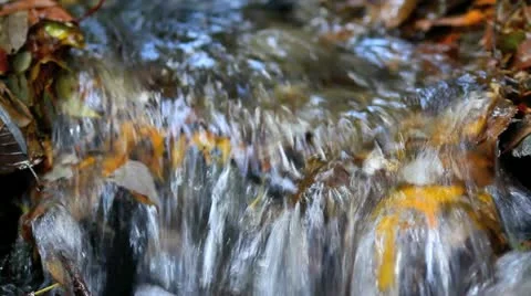 Mountain Stream with waterfall in Autumn. Stock Footage 13902672