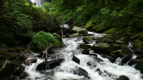 Mountain Stream with waterfall in the background Stock Footage 309728854