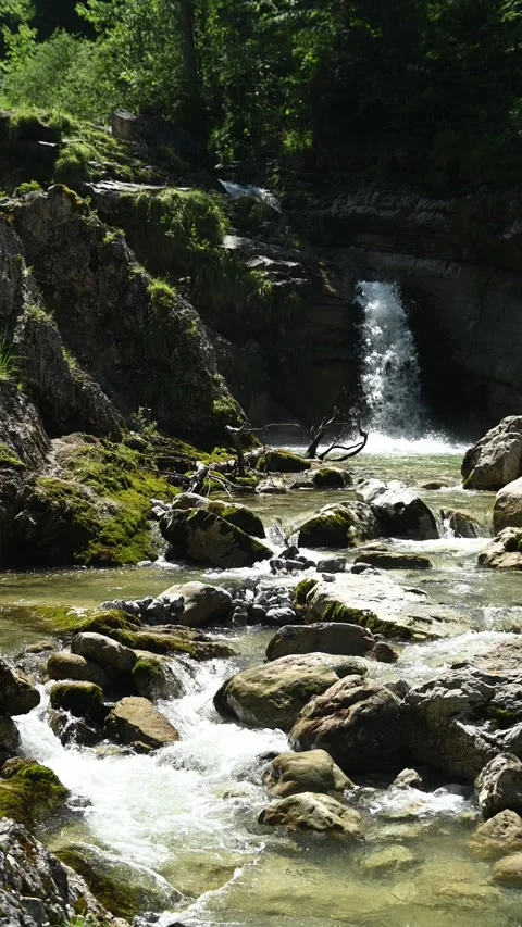 A mountain stream with a waterfall in the background in summer, vertical shot Stock-Footage 260869424