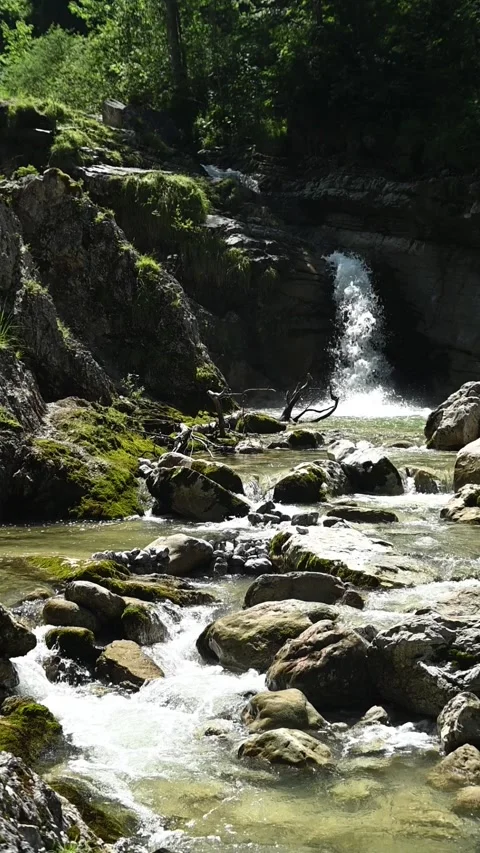 A mountain stream with a waterfall in the background in summer, slow motion Stock-Footage 260870149