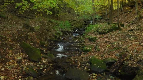 Mountain Stream Waterfall. Carpathian Mountains Stock Footage 104743989
