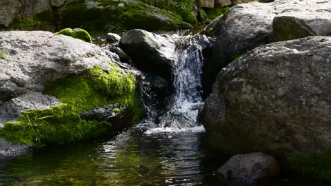 Mountain Stream Waterfall Cascading over Mossy Rocks in Forest Stock Footage 341367371