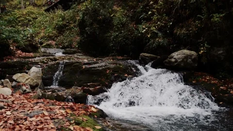 Mountain stream waterfall flowing over rocks through autumn forest Stock-Footage 347733962