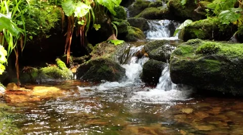 Mountain stream with waterfall Video stock 53293247
