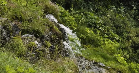 Mountain stream waterfall - Italian Alps Vidéo 252195024
