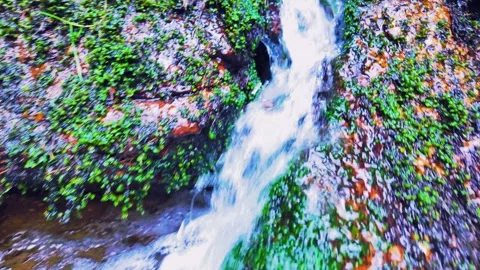 Mountain Stream Waterfall: Slow Motion Approach Stock-Footage 308753434