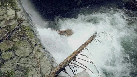Mountain stream with waterfall, small water dam, trees attacked in river Vidéo 98028128