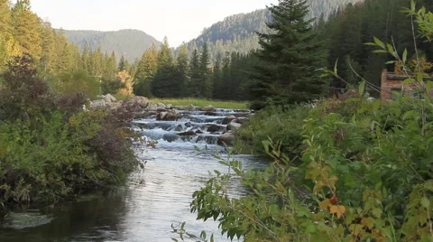 Mountain stream waterfall steps Video stock 42475657