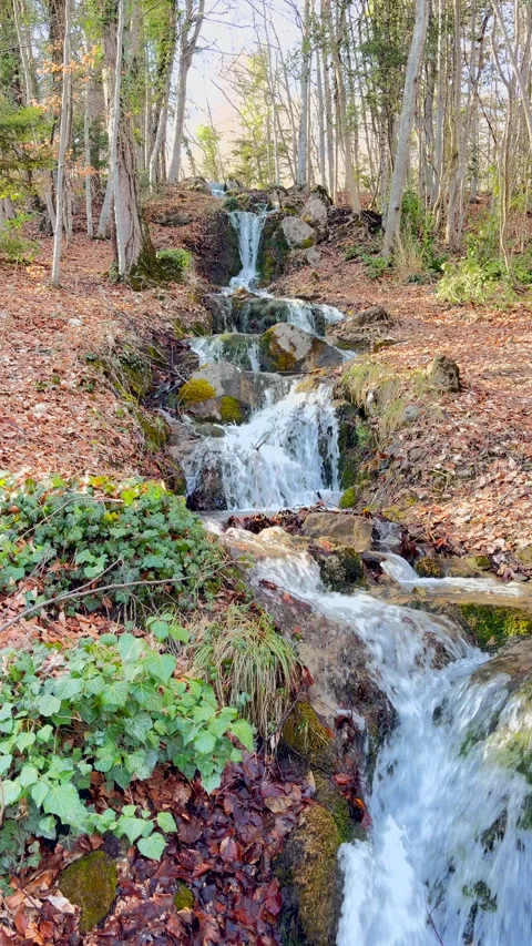 Mountain Stream with waterfalls flowing through woods in French Alps Stock Footage 331750798