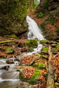 Mountain stream with waterfalls Stock Photos