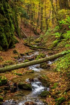 Mountain stream with waterfalls Stock Photos