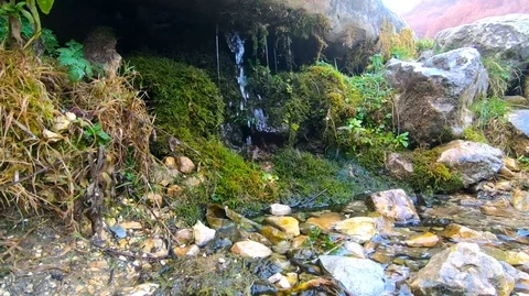 Mountain stream whispering among rocks in Moeciu, Romania Stock Footage 113055616