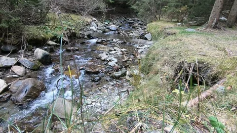 Mountain stream whispering among rocks in Moeciu, Romania Stock Footage 113056611