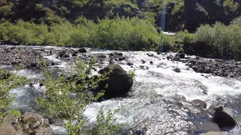 Mountain Stream. Wild Nature. ASMR Water and Birds Stock Footage 282777425