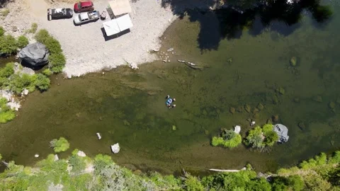 Mountain stream winding slowly through the green forest Video stock 272491036
