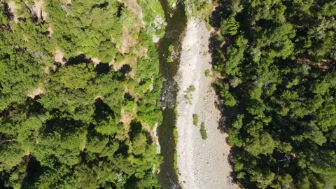 Mountain stream winding slowly through the green forest Video stock 272493126