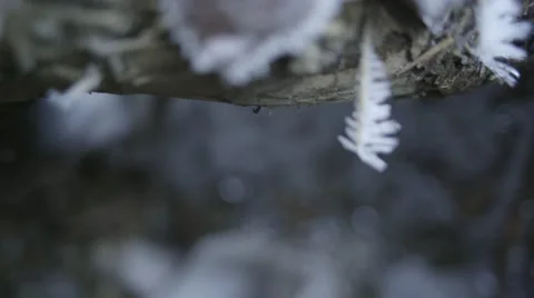 MOUNTAIN STREAM IN WINTER Stock Footage 68859272