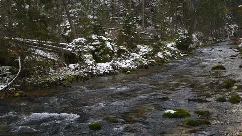 Mountain stream in winter Stock Footage 70355780