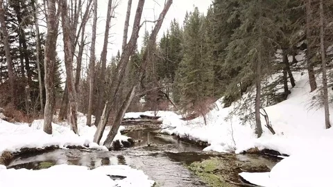 Mountain Stream Winter Stock Footage