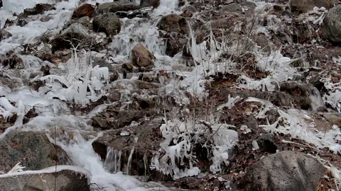 Mountain stream in winter forest. Close-up Stock Footage 69959779