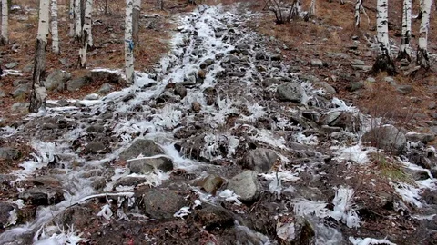 Mountain stream in winter forest Stock Footage 69960240