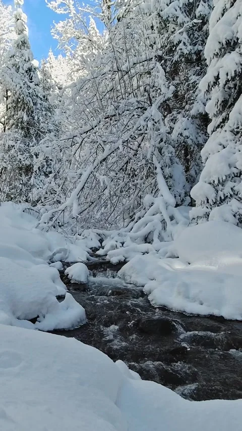 A mountain stream in a winter forest on a sunny day Stock Footage 220411943