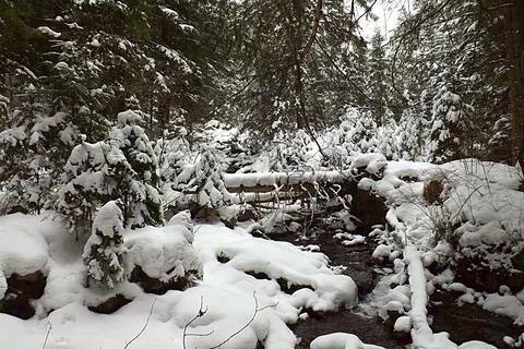Mountain stream in the winter in the mountains. Foto stock