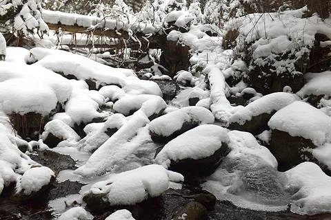 Mountain stream in the winter in the mountains. Stock Photos