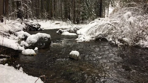 Mountain Stream in the Winter with Snow - 1 in Series of 5 Stock Footage 118780242